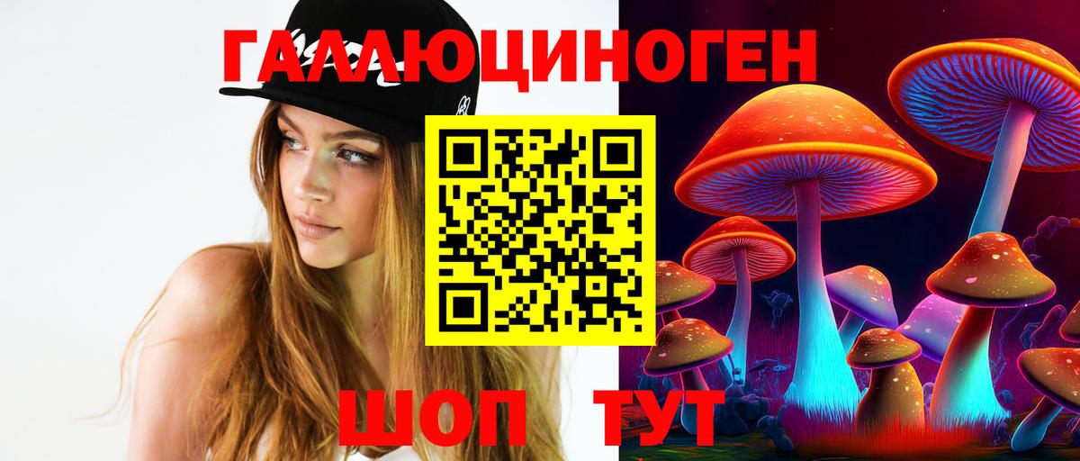Псилоцибиновые грибы прущие грибы  Вход с VPN  купить   Псилоцибиновые грибы Psilocybine cubensis  Щёлково 